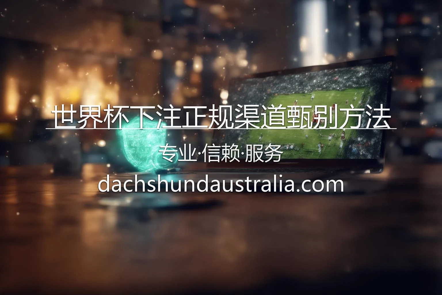 世界杯下注正规渠道甄别方法核心视觉展示