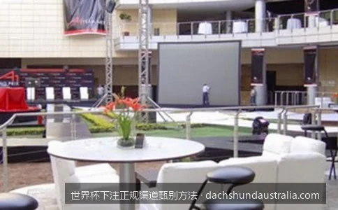 认准官方授权：中国体育彩票与世界杯合规购买渠道详解